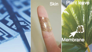 Illustration for article titled Science Makes a Circuit So Thin, It Can Sit On a Contact Lens
